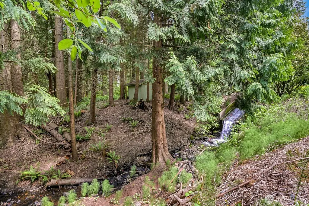 3987 Britton Road Bellingham WA 98226