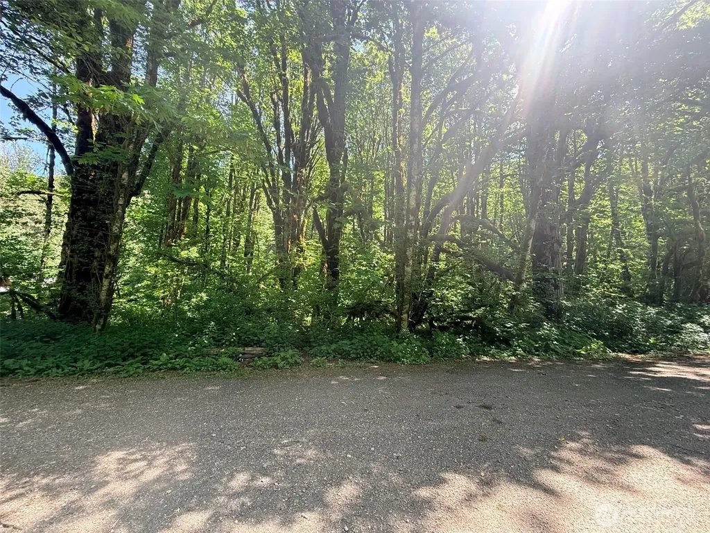 10204 Foss River Place NE Skykomish WA 98288