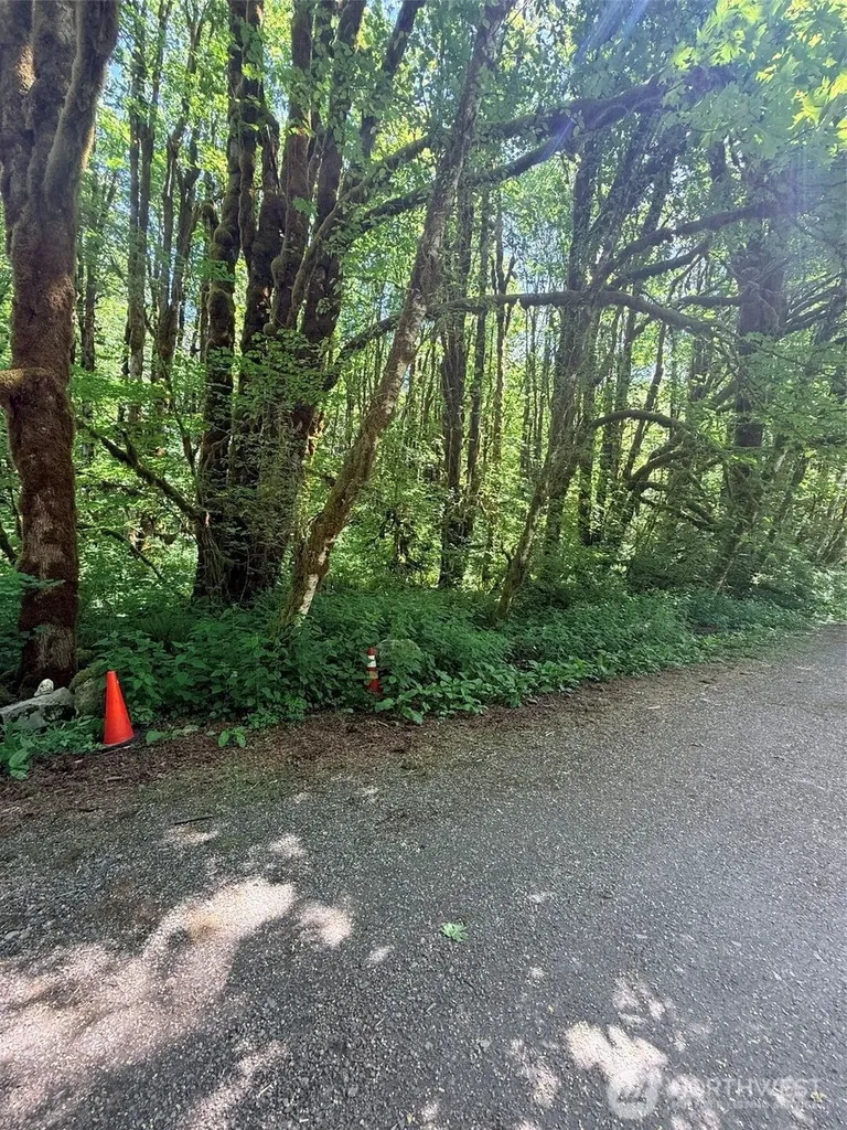 10204 Foss River Place NE Skykomish WA 98288