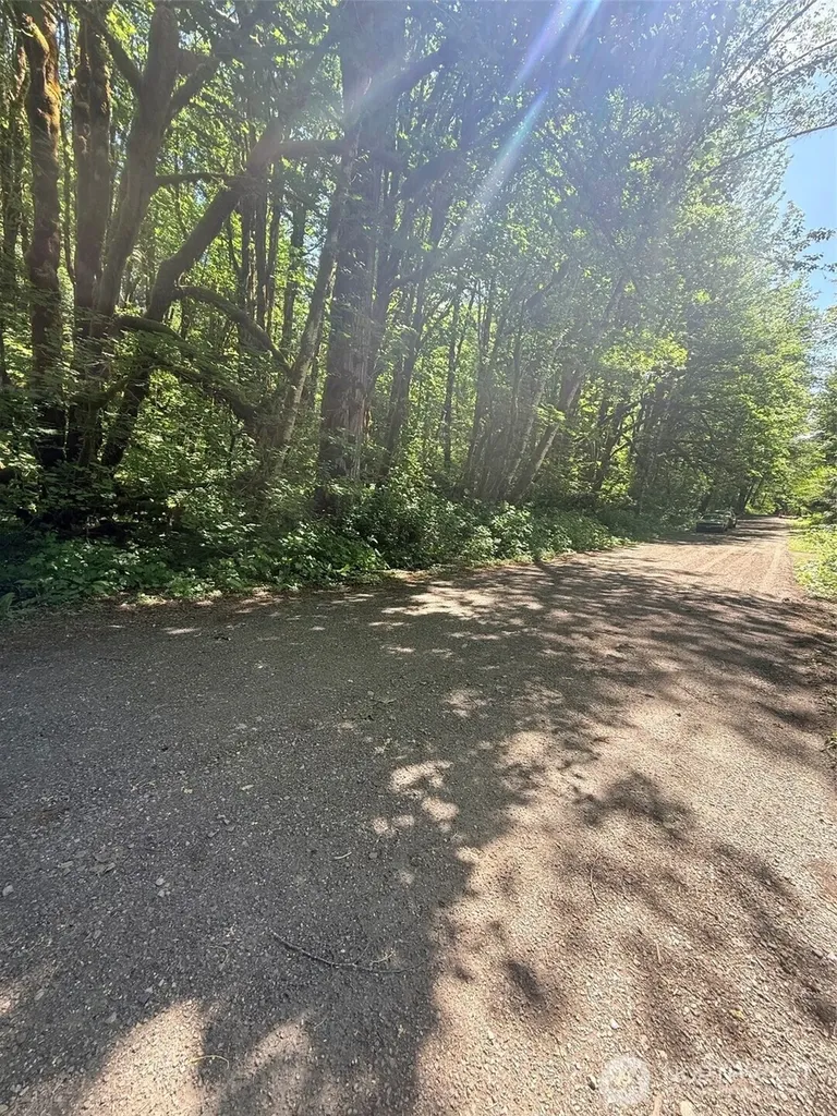 10204 Foss River Place NE Skykomish WA 98288