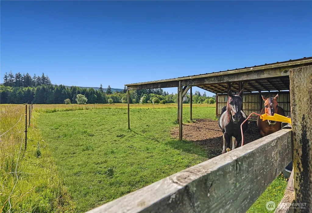 447 Boistfort Road Curtis WA 98538