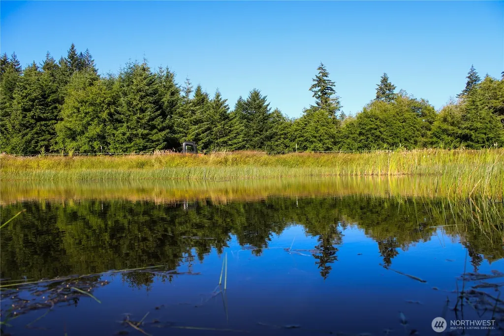 447 Boistfort Road Curtis WA 98538