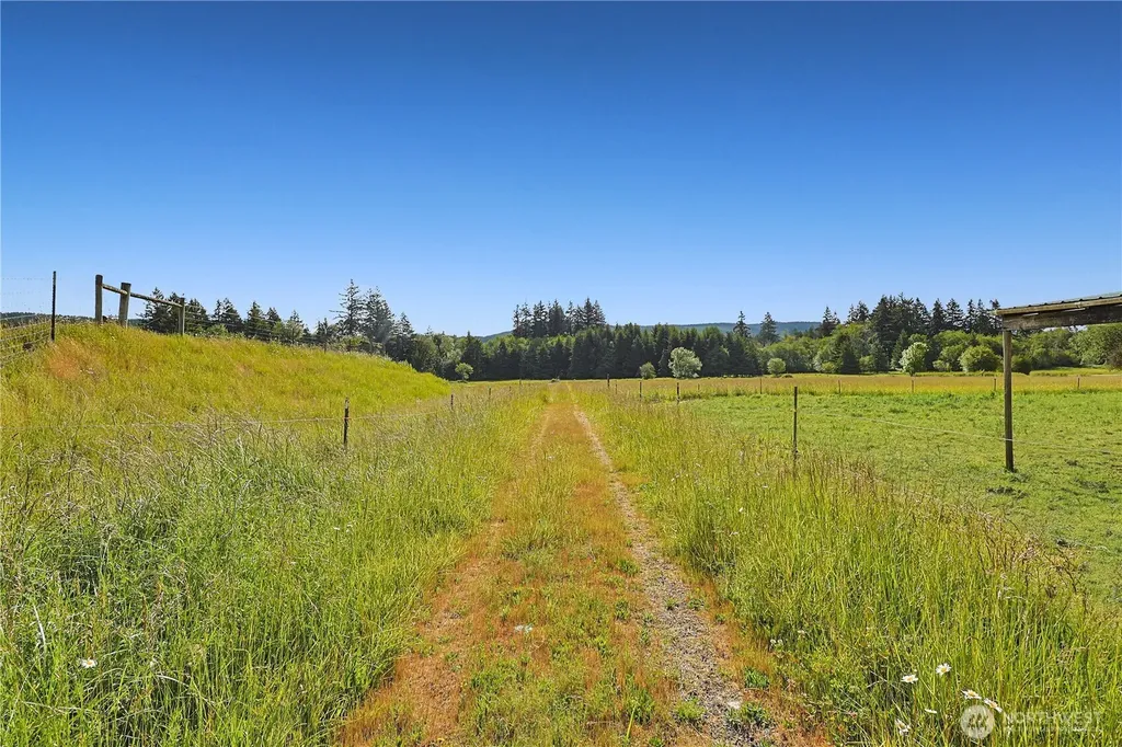 447 Boistfort Road Curtis WA 98538