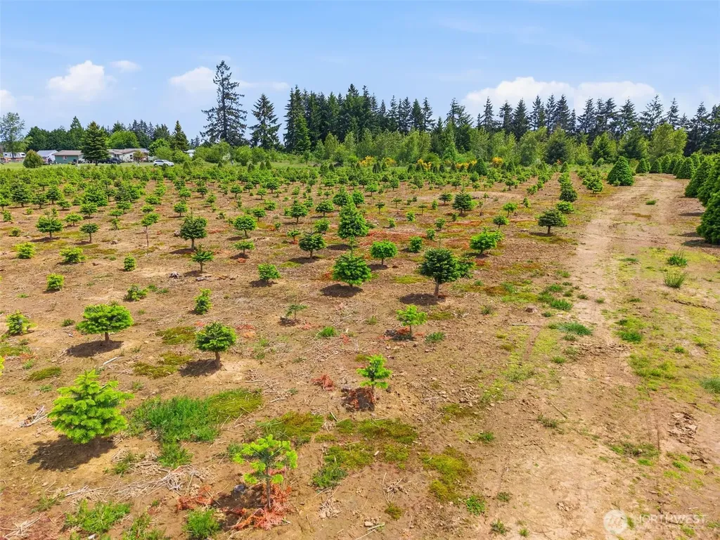 2 Shiloh Road Winlock WA 98596