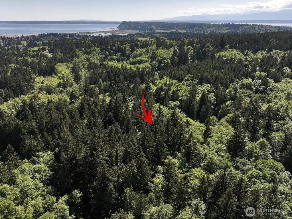 0 Foxglove Langley WA 98260