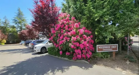 12517 SE 30th Street Bellevue WA 98005