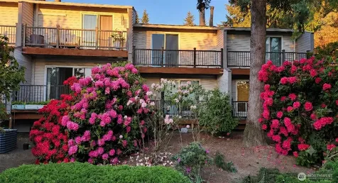 12517 SE 30th Street Bellevue WA 98005