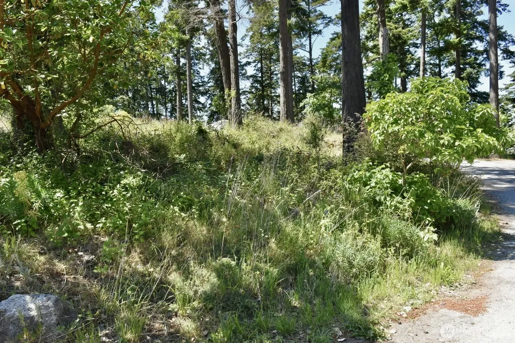 57 Victory Lane Orcas Island WA 98245