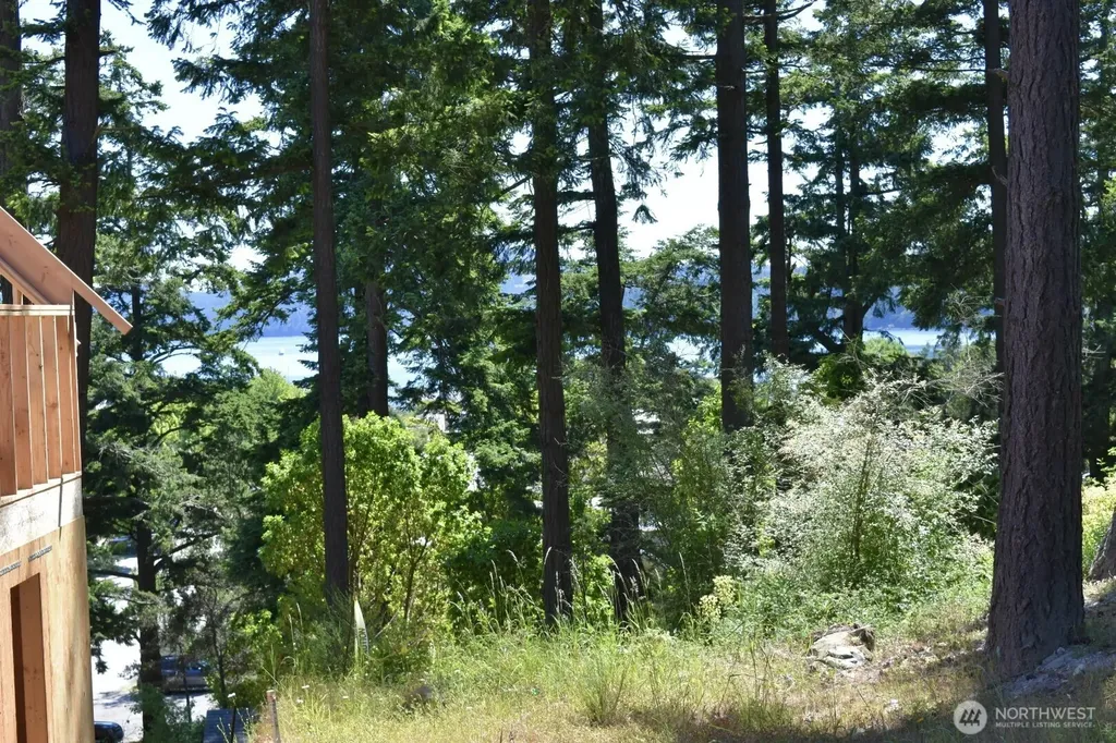 57 Victory Lane Orcas Island WA 98245