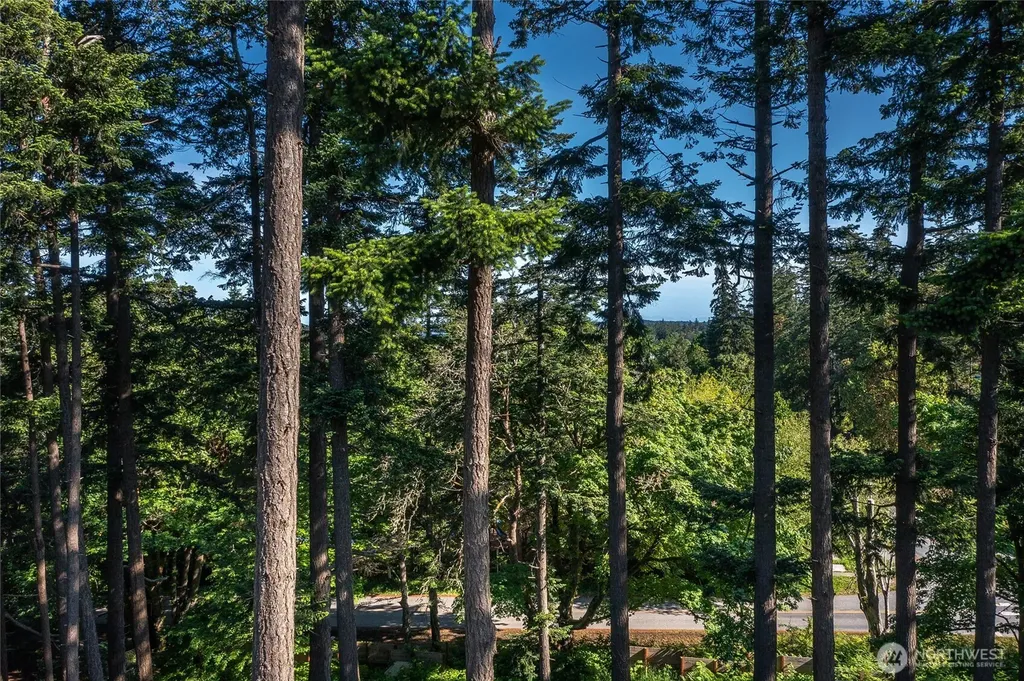 57 Victory Lane Orcas Island WA 98245