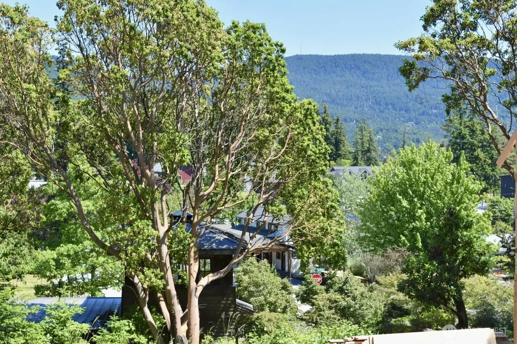 57 Victory Lane Orcas Island WA 98245