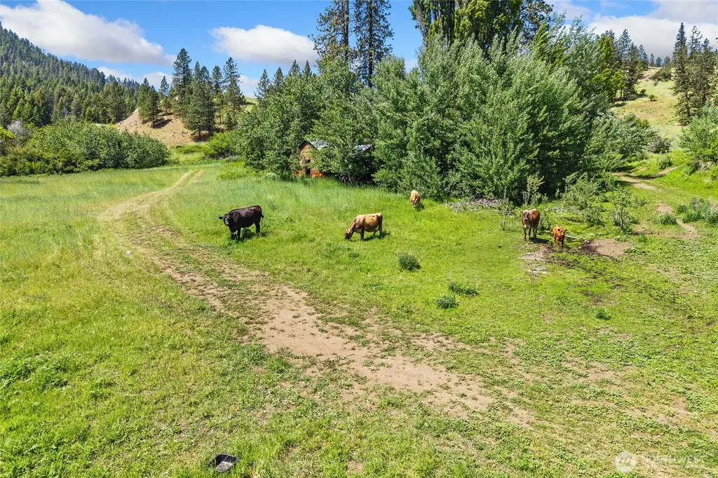 3296 Silver Creek Road Inchelium WA 99138