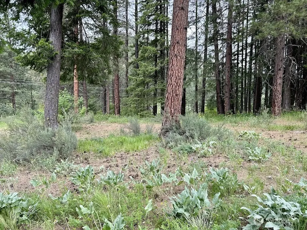 15425 Chumstick Highway Leavenworth WA 98826