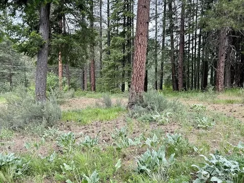 15425 Chumstick Highway Leavenworth WA 98826