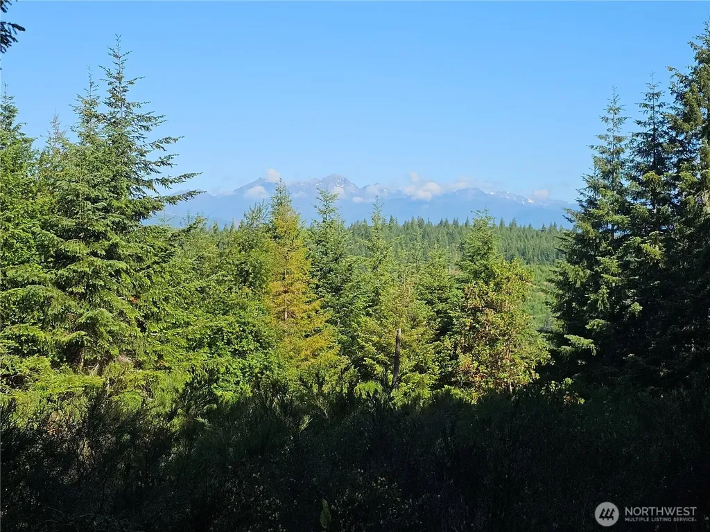400 Southridge Drive Belfair WA 98528