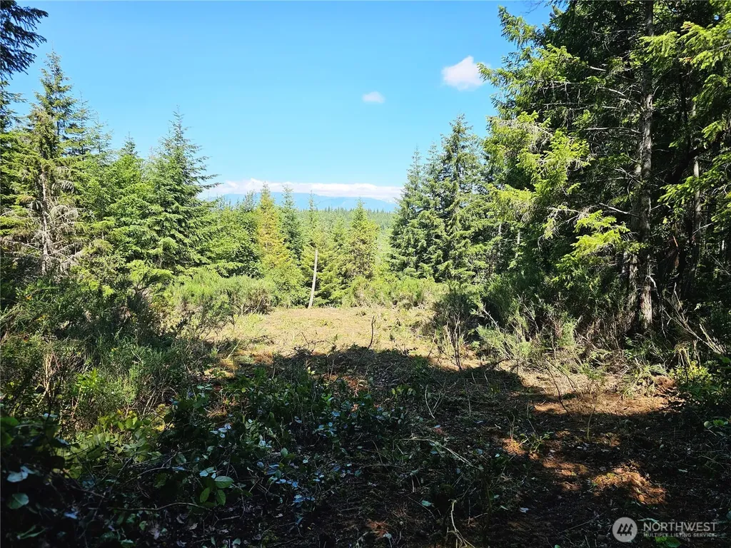 400 Southridge Drive Belfair WA 98528