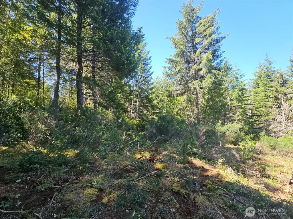 400 Southridge Drive Belfair WA 98528