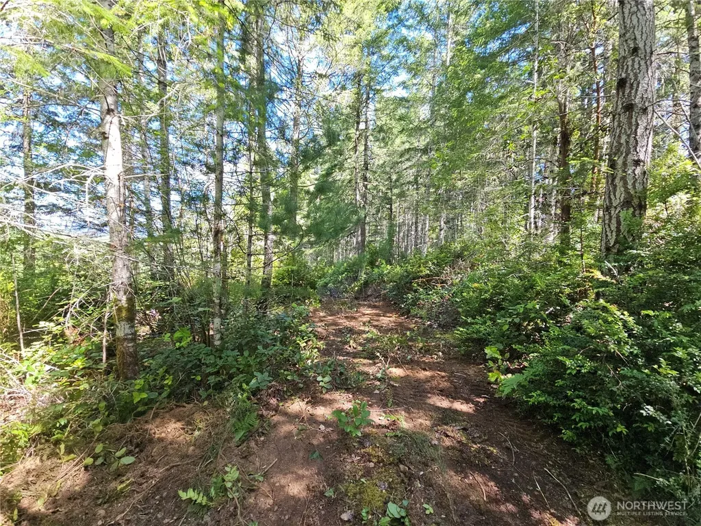 400 Southridge Drive Belfair WA 98528