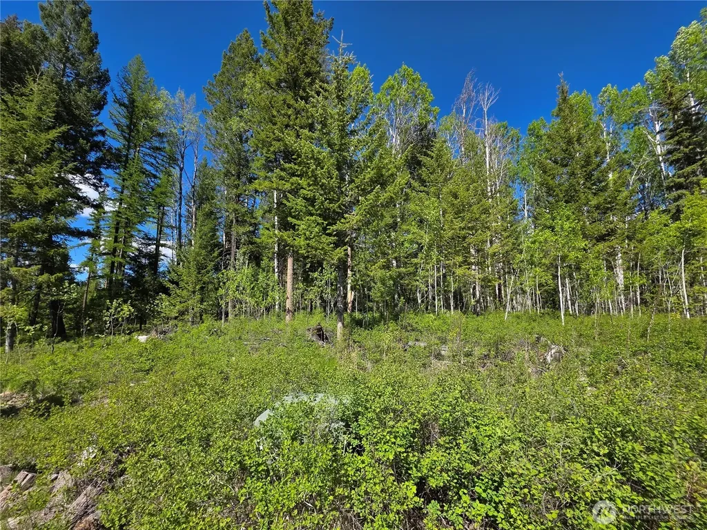 393 Summer Road Tonasket WA 98855