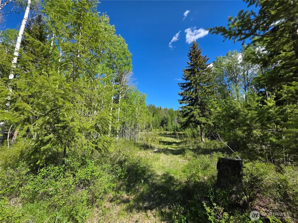 393 Summer Road Tonasket WA 98855