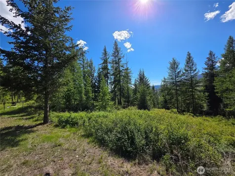 393 Summer Road Tonasket WA 98855