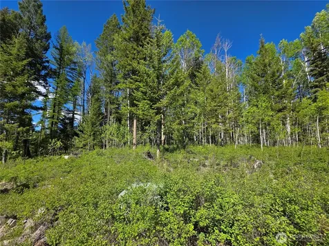 393 Summer Road Tonasket WA 98855