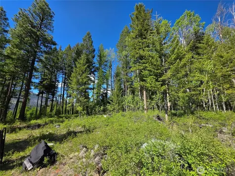 393 Summer Road Tonasket WA 98855