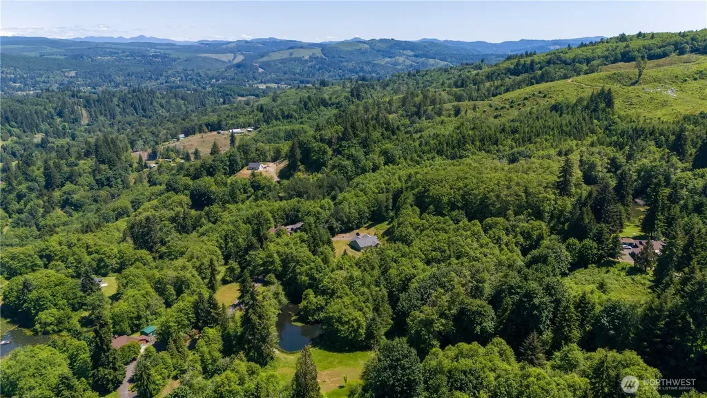 272 Trout Lakes Road Castle Rock WA 98611