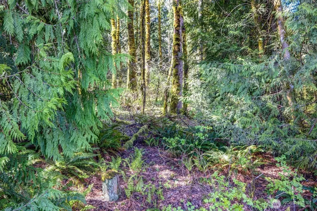 17512 260th Avenue SE Monroe WA 98272