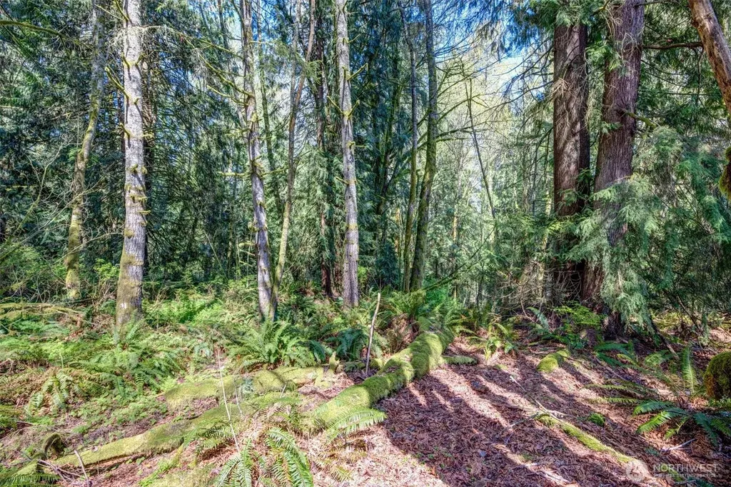 17512 260th Avenue SE Monroe WA 98272