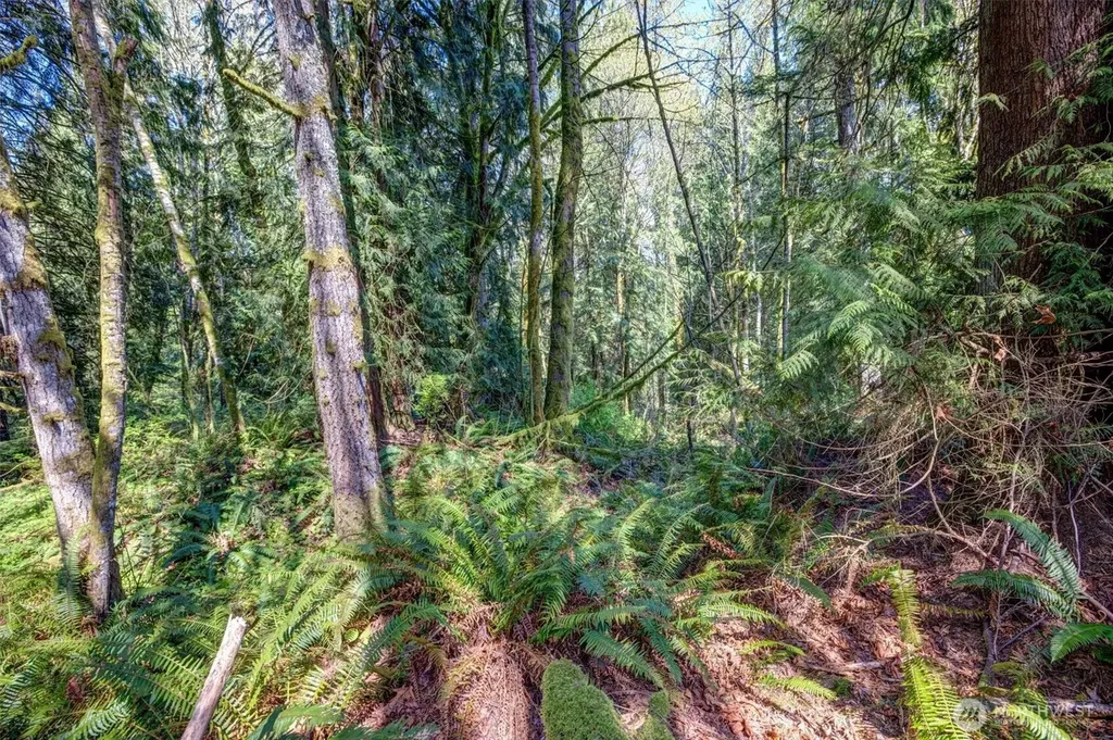 17512 260th Avenue SE Monroe WA 98272