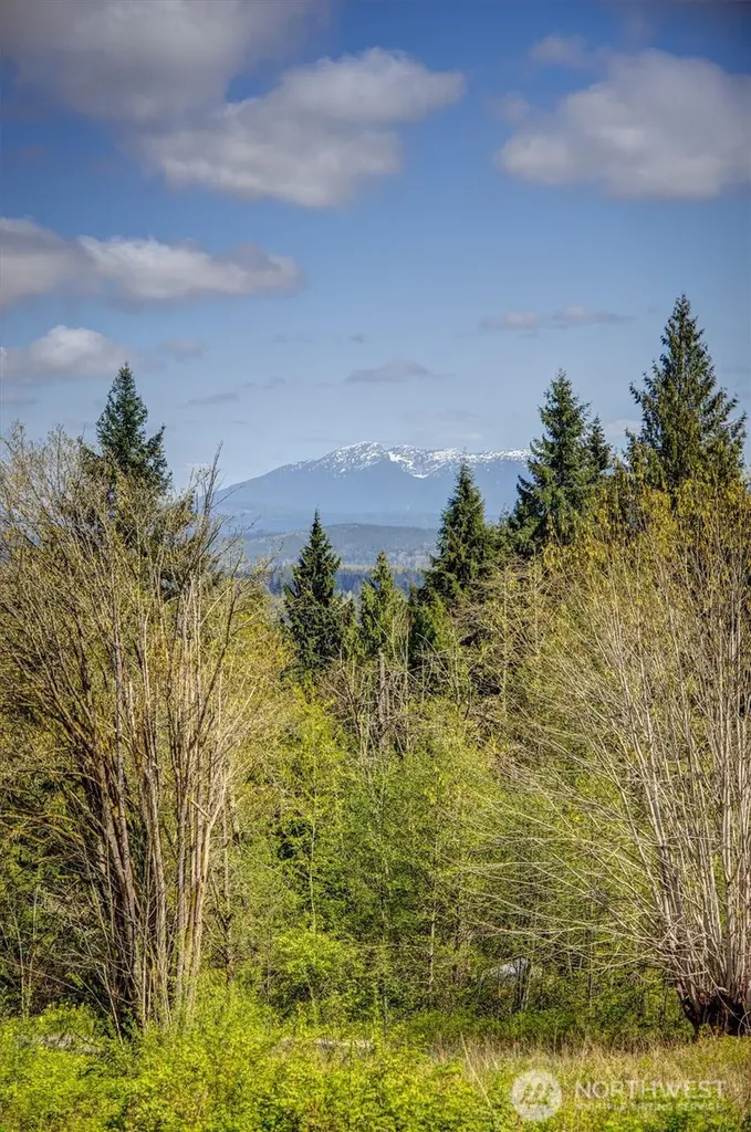 17512 260th Avenue SE Monroe WA 98272