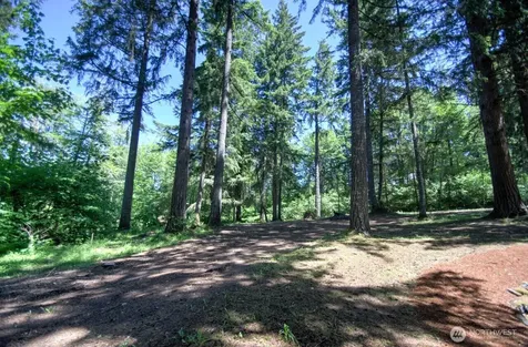 13336 Sunset Heights Lane SE Tenino WA 98589