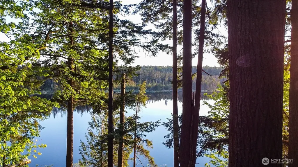 18603 E Spring Lake Drive SE Renton WA 98058