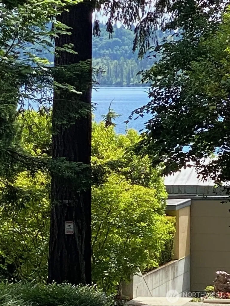 9100 Lake Washington Boulevard NE Bellevue WA 98004