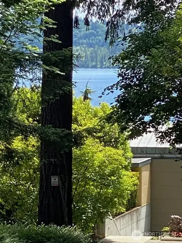 9100 Lake Washington Boulevard NE Bellevue WA 98004