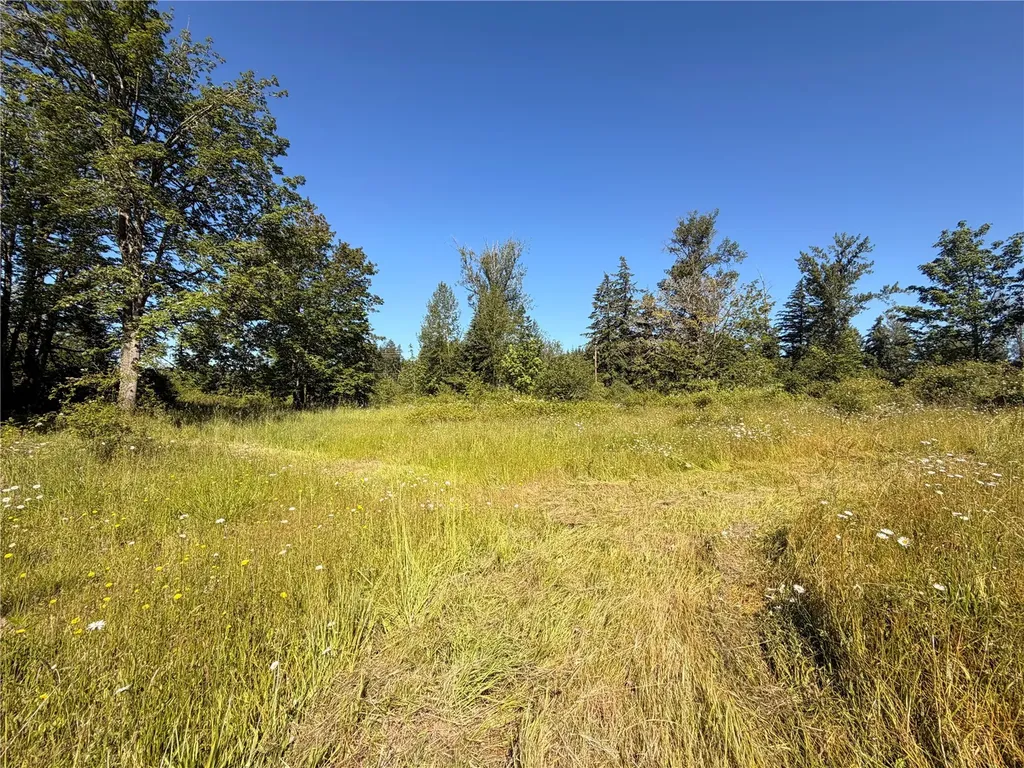 10252 400th Street E Eatonville WA 98328