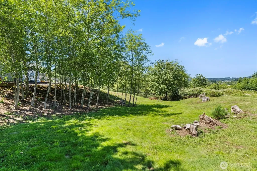 210 Mitchell Lane NE Napavine WA 98532