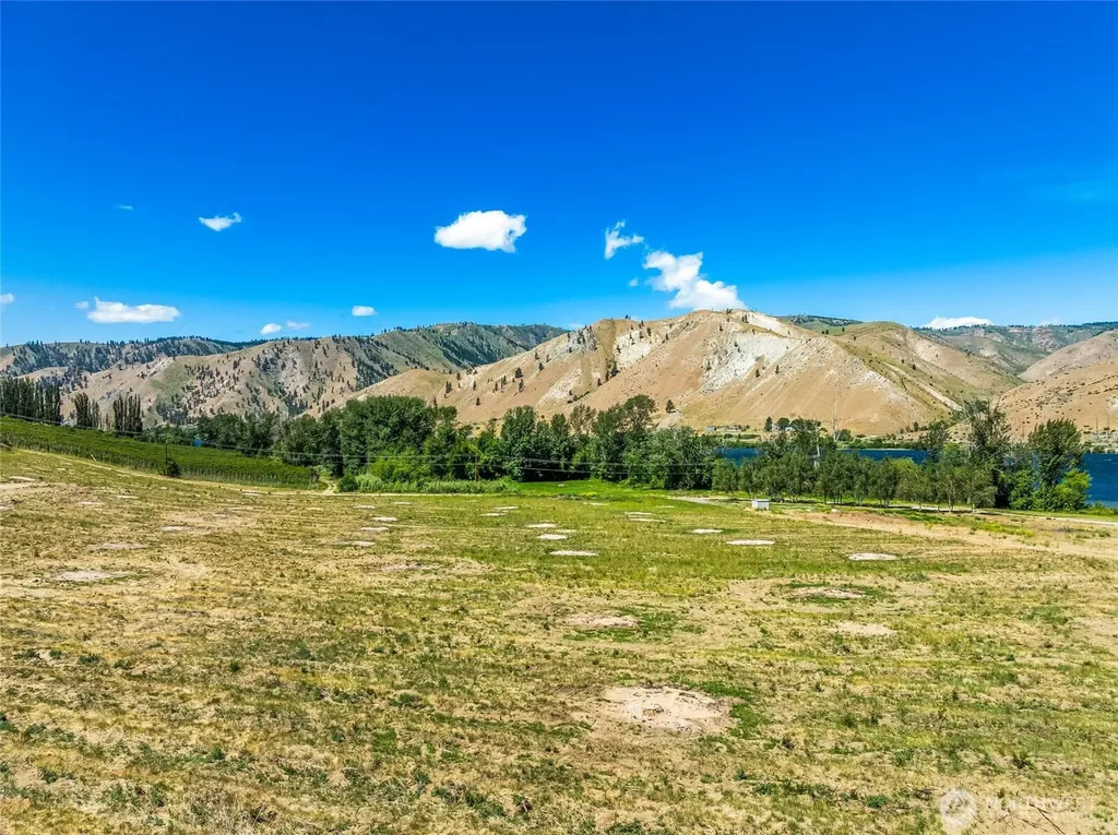 0 Lot 1-5 Silvest Road Orondo WA 98843