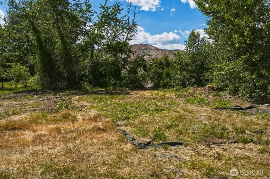 0 Lot 1 Silvest Road Orondo WA 98843