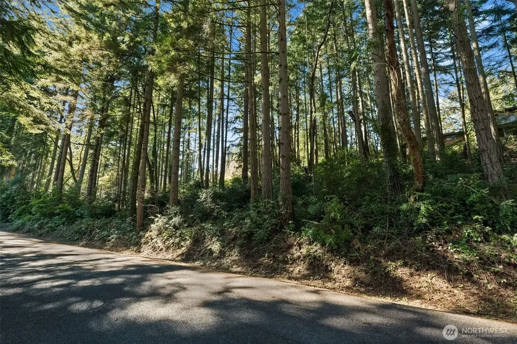 0 Lucille Parkway NW Gig Harbor WA 98335
