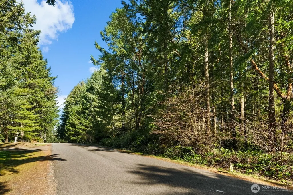 0 Lucille Parkway NW Gig Harbor WA 98335