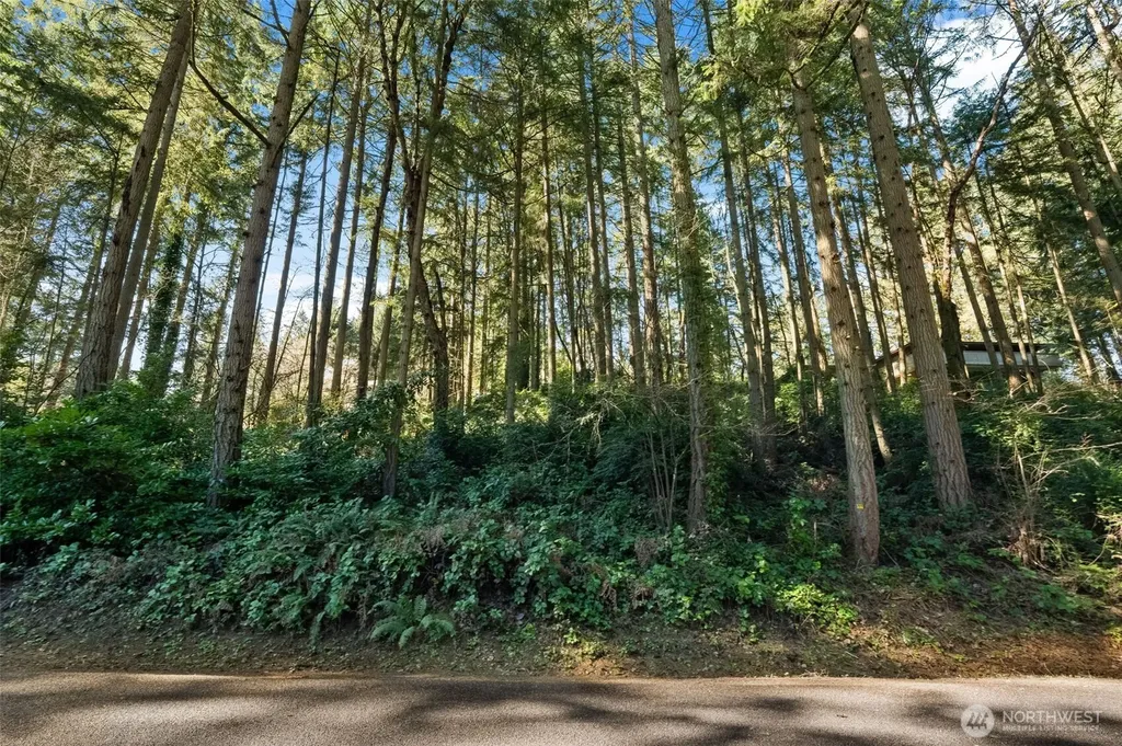 0 Lucille Parkway NW Gig Harbor WA 98335