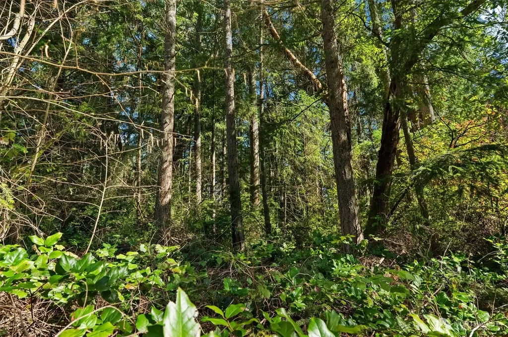 0 Lucille Parkway NW Gig Harbor WA 98335