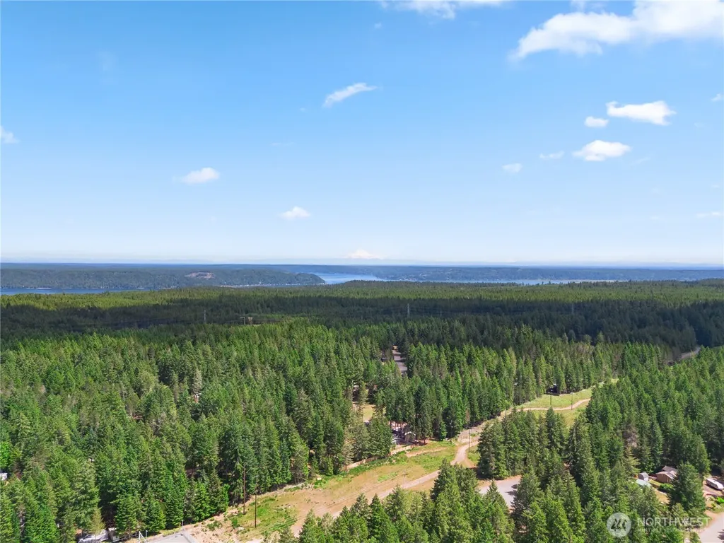 290 N Dow Creek Drive Hoodsport WA 98548