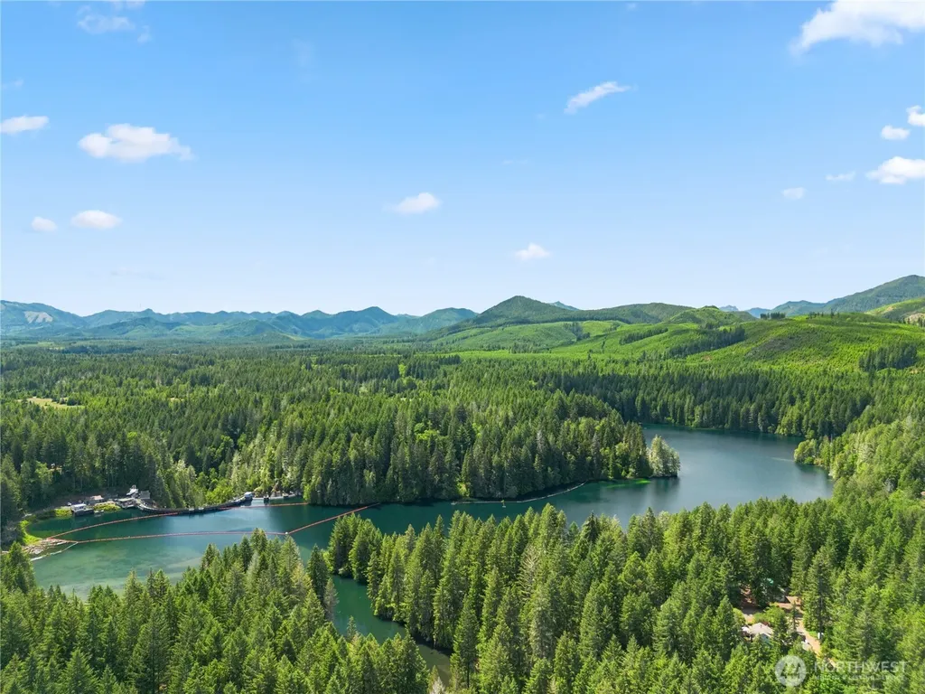 290 N Dow Creek Drive Hoodsport WA 98548