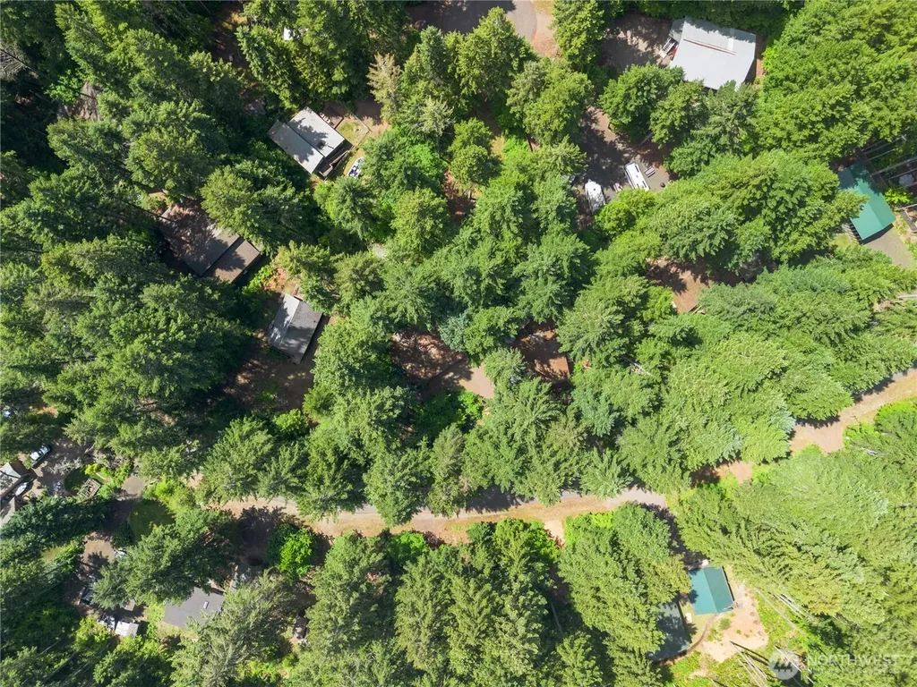 290 N Dow Creek Drive Hoodsport WA 98548