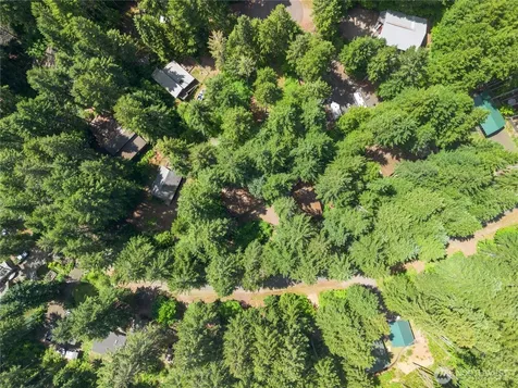 290 N Dow Creek Drive Hoodsport WA 98548