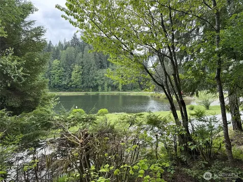 44813 Kla-ha-nei Trail Concrete WA 98237