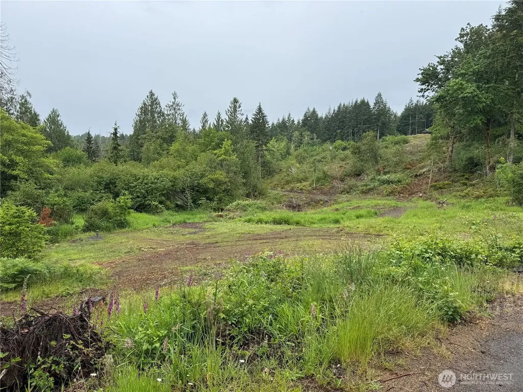 8143 Todderjen Lane SW Olympia WA 98512